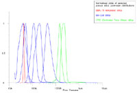 Normalised example pore size distributions, measured by NMR Cryoporometry.